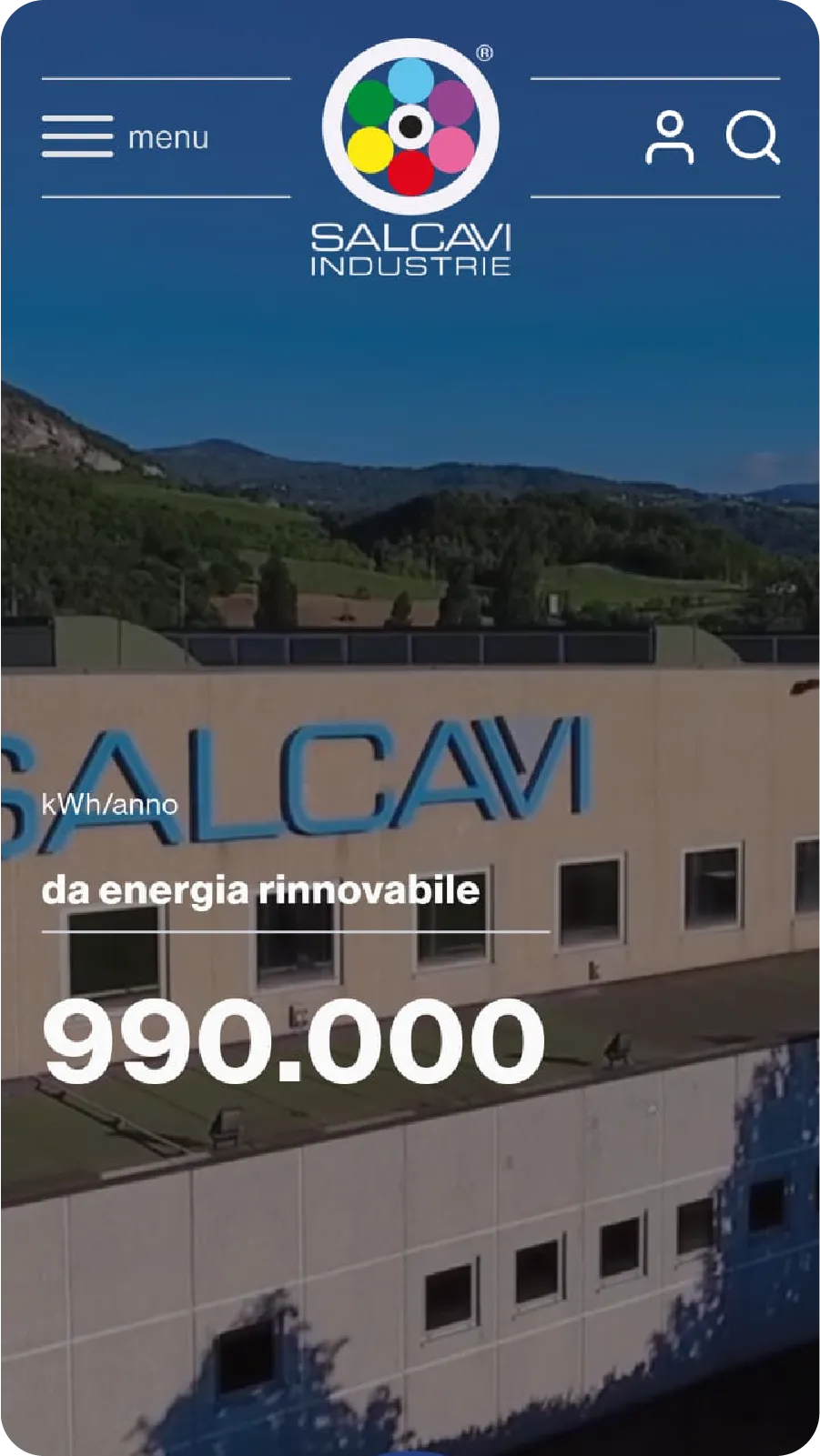 Responsive website for Salcavi