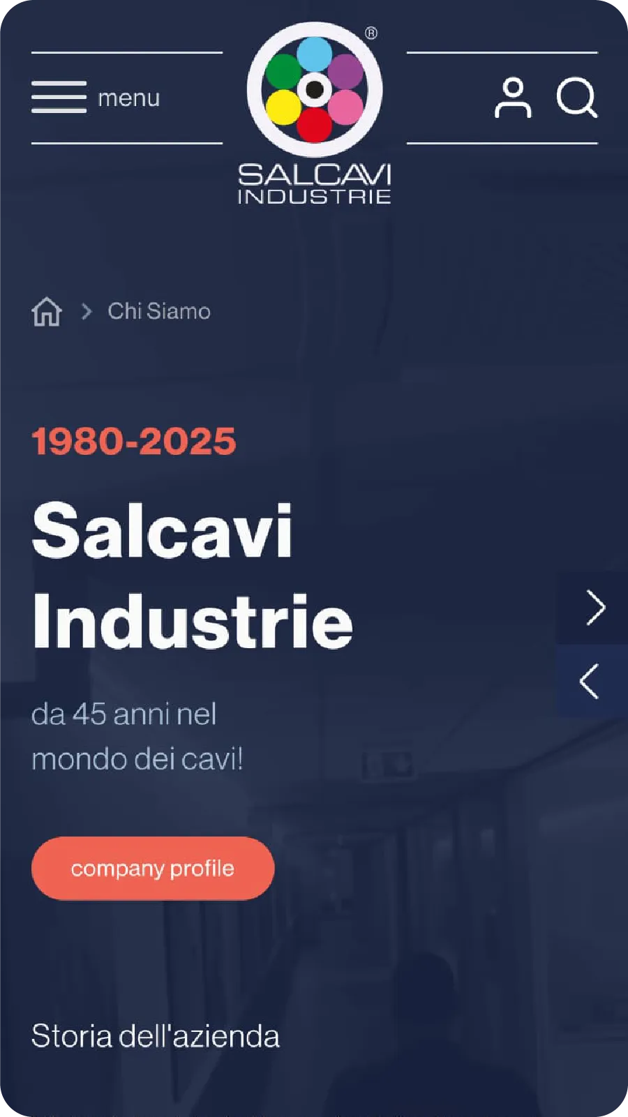 Responsive website for Salcavi