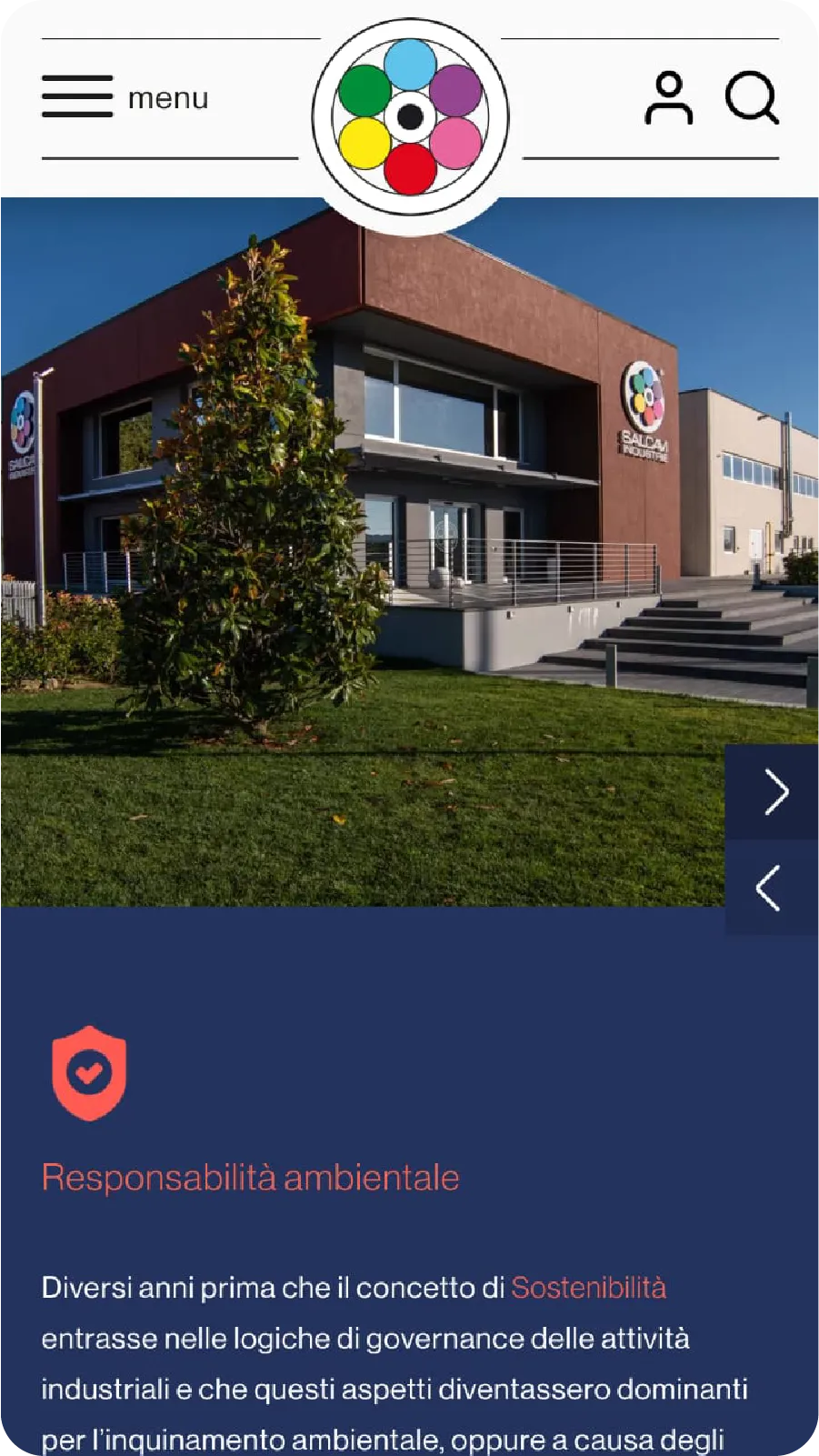 Responsive website for Salcavi